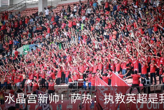 水晶宫新帅！萨热：执教英超是我的梦想 有欧战是一种积极的压力